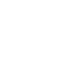 Guarantee icon