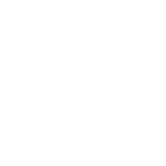 Shield icon
